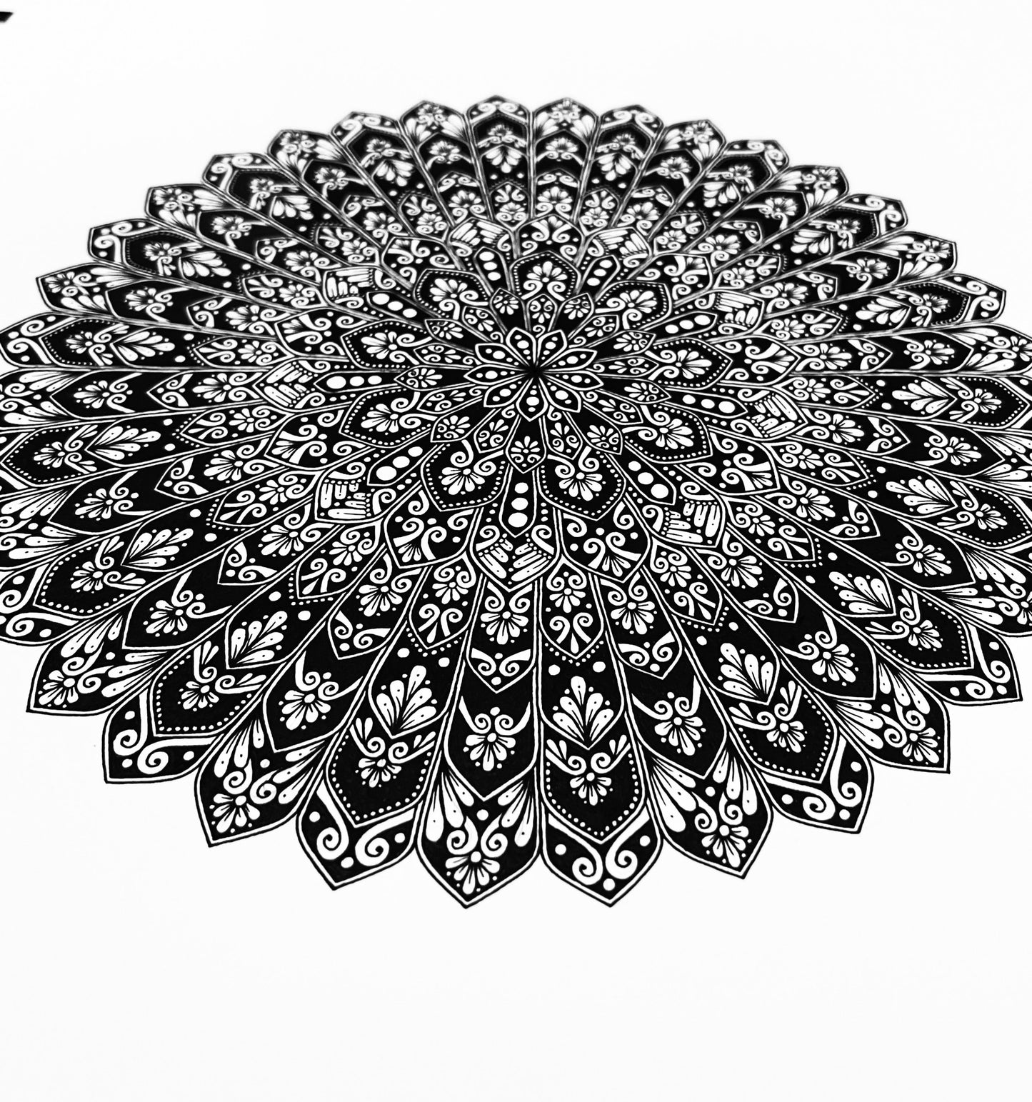 Pinjore Gardens Mandala