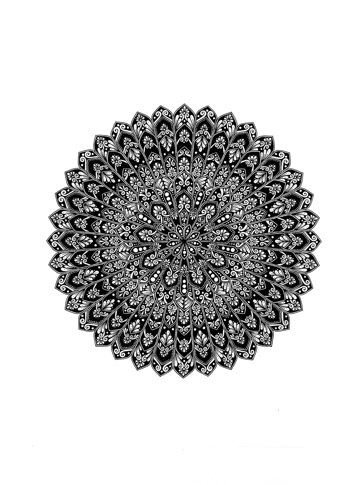 Pinjore Gardens Mandala